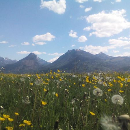 S-Hansn Sankt Wolfgang im Salzkammergut Bagian luar foto