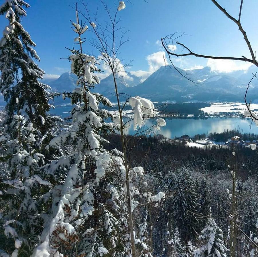S-Hansn Sankt Wolfgang im Salzkammergut Bagian luar foto