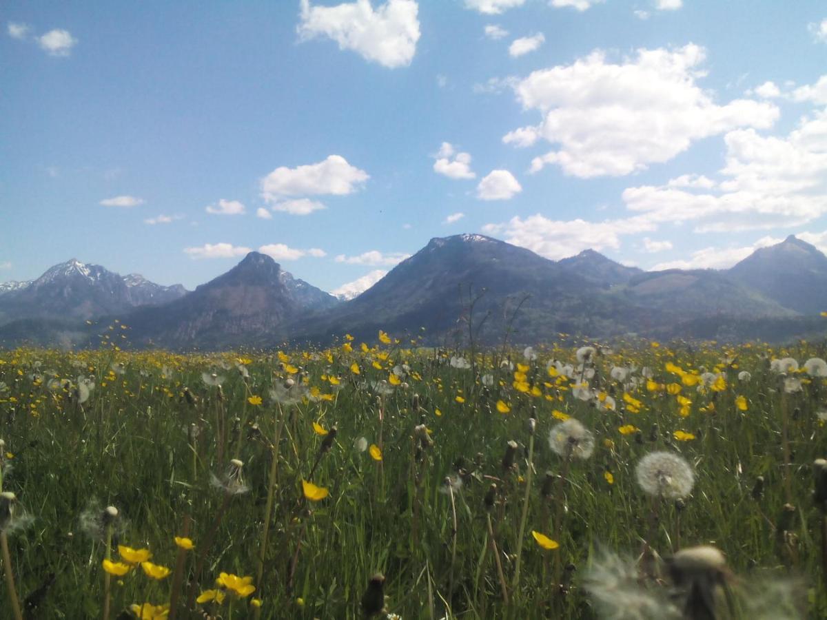 S-Hansn Sankt Wolfgang im Salzkammergut Bagian luar foto